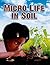 Micro Life in Soil (Everybody Digs Soil)