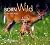 Born Wild in the Smokies