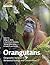 Orangutans: Geographic Variation in Behavioral Ecology and Conservation