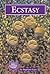Ecstasy (Drug Education Library)