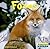 Foxes (World of Mammals)