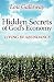Hidden Secrets of God's Economy by Lou Galloway