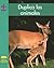 Duplica los Animales / Double the Animals (Yellow Umbrella Books: Math ~ Spanish)