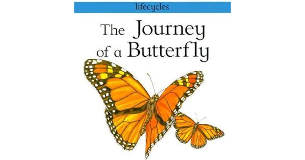 The Journey of a Butterfly by Carolyn Scrace