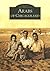 Arabs of Chicagoland by Ray Hanania