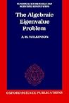 The Algebraic Eigenvalue Problem (Numerical Mathematics and Scientific Computation)