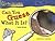 Can You Guess What It Is? (Reading Essentials Discovering Science)