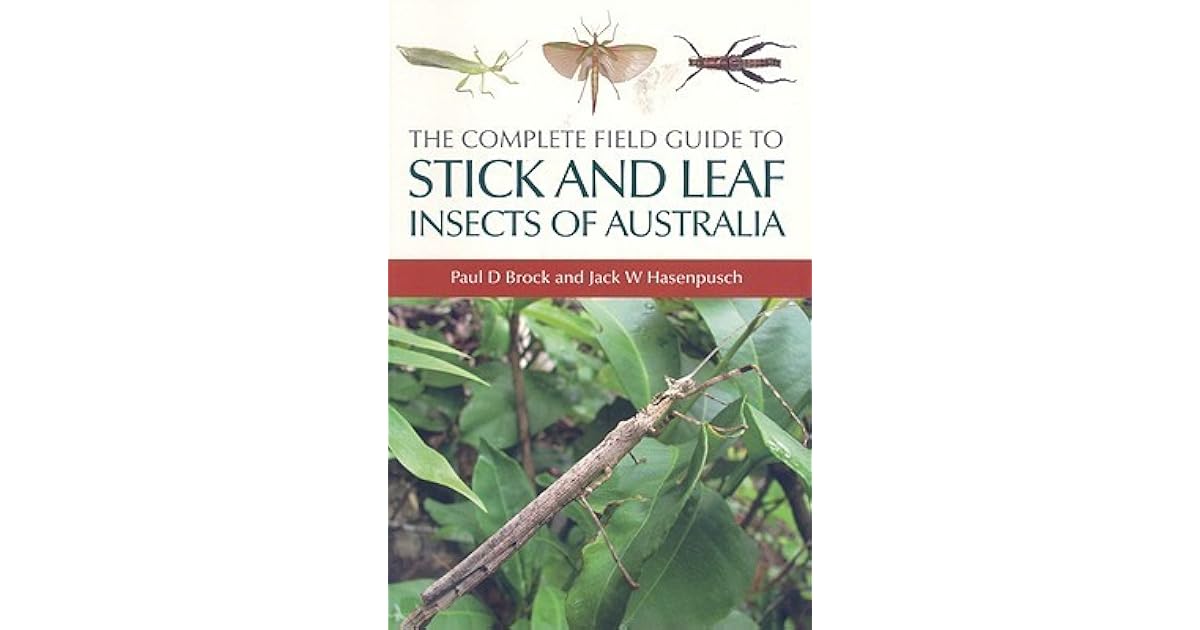 The Complete Field Guide to Stick and Leaf Insects of Australia [op] by ...