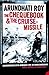 The Chequebook and the Cruise Missile : Conversations With Arundhati Roy