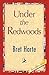 Under the Redwoods