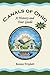 Canals Of Ohio: A History A...