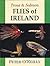 Trout and Salmon Flies of Ireland