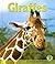 Giraffes by Barbara Keevil Parker