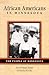 African Americans in Minnesota by David V. Taylor