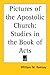 Pictures of the Apostolic Church: Studies in the Book of Acts