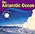 The Antarctic Ocean