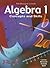 McDougal Littell Algebra 1 by McDougal Littel