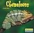 Chameleons