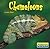 Chameleons (World of Reptiles)