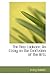 The New Laokoon: An Essay o...