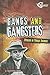Gangs and Gangsters: Stories of Public Enemies (Velocity: Bad Guys)