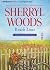 Beach Lane (Chesapeake Shores #7)