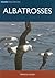 Albatrosses (Natural History)