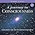 Journey in Consciousness by Barry Long