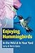 Enjoying Hummingbirds by Larry Gates