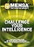 "Mensa" - Challenge Your Intelligence by John Bremner