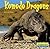 Komodo Dragons
