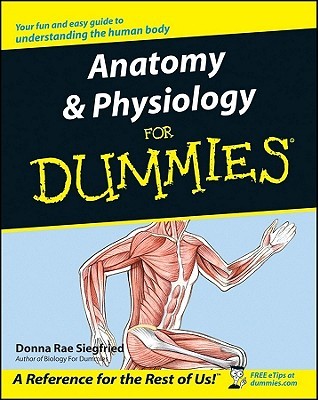 Anatomy & Physiology for Dummies (Paperback)