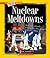 Nuclear Meltdowns (A True B...