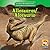 Allosaurus/ Alosaurio (Let's Read About Dinosaurs/ Conozcamos a Los Dinosaurios) (English and Spanish Edition)