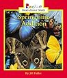 Springtime Addition (Rookie Read-About Math)