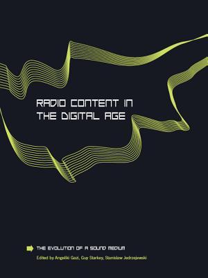 Radio Content in the Digital Age: The Evolution of a Sound Medium (Paperback)
