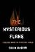 The Mysterious Flame: Conscious Minds in a Material World
