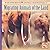 Migrating Animals of the Land (On the Move: Animal Migration)