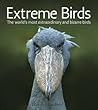Extreme Birds: Th...