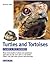 Turtles and Tortoises: Caring for Them, Feeding Them, Understanding Them (Family Pet.)
