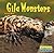 Gila Monsters (World of Reptiles)