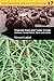 Tropical Root and Tuber Cro...
