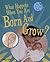 What Happens When You Are Born and Grow? (How Your Body Works)