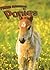 Ponies (Farm Animals)