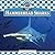 Hammerhead Sharks