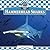 Hammerhead Sharks