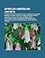 African American Artists: Charles Alston, Edward Mitchell Bannister, Romare Bearden, Joseph Yoakum, Jacob Lawrence, Ernie Barnes