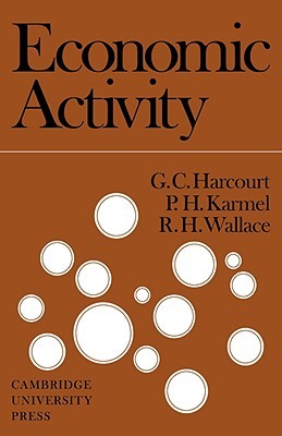 Economic Activity (Paperback)