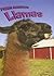Llamas (Farm Animals)