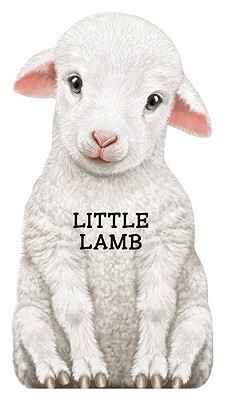 Little Lamb (Look at Me Books)